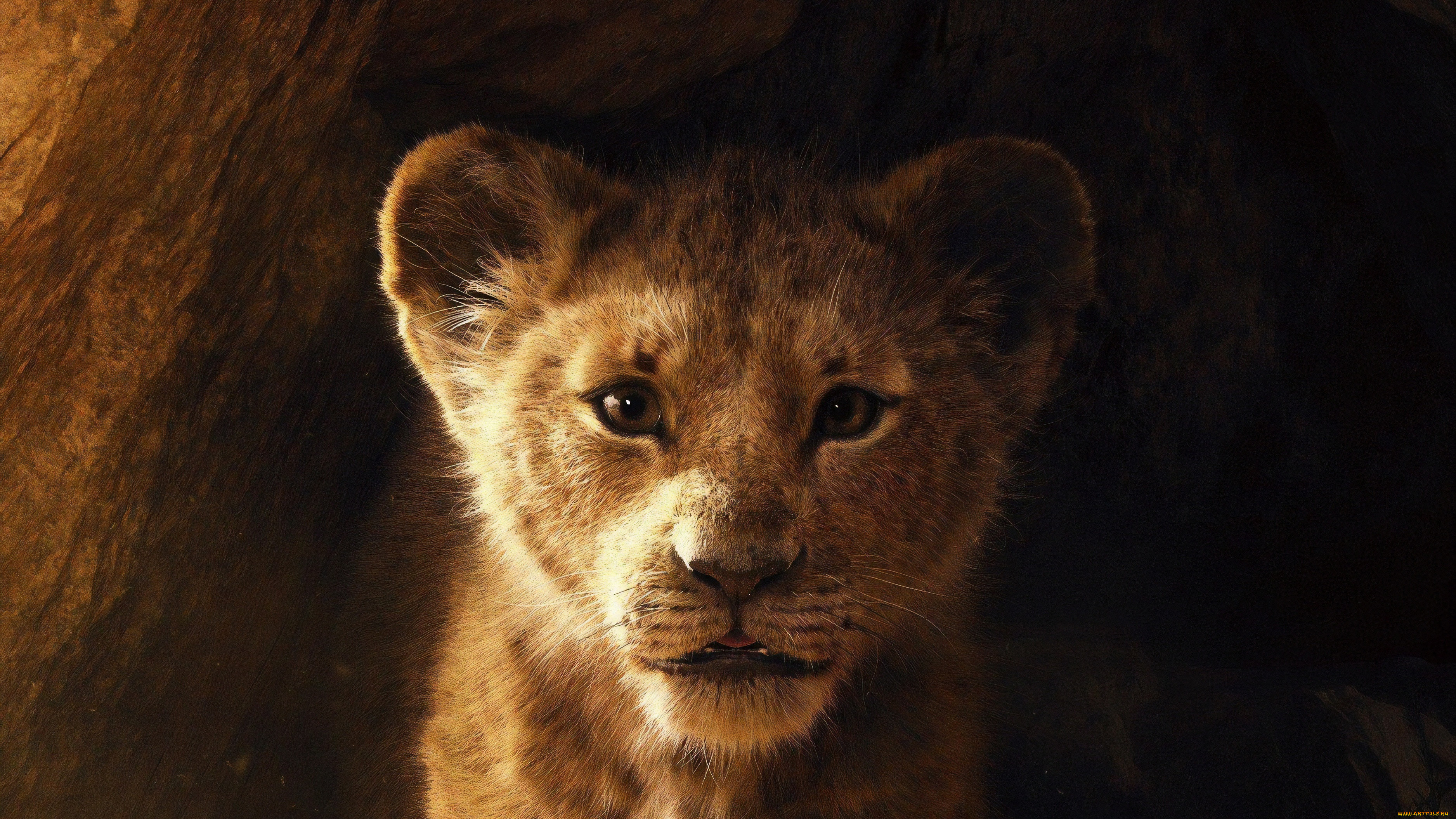 the lion king , 2019,  , -unknown , , , , , , , the, lion, king